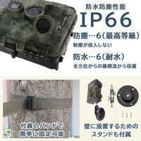 サンコー 置くだけ簡単「トレイル防犯カメラ」 AUTMTSHNA 1台