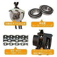 ベスト・アンサー チェーンブロック VD 1トン lh-vd100-10p 1セット(10台入)（直送品）