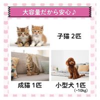 ベスト・アンサー ペットドライヤー pet-073 1台（直送品）