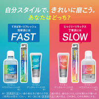 OCH-TUNE（オクチューン）歯ブラシ FAST まとめて磨ける 薄型コンパクト 極細毛 ハブラシ 1本 ライオン