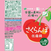 伊藤園 ニッポンエール 山形県産 さくらんぼ 500g 1セット（48本）
