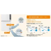 コロナ ウインドエアコン 1.8kW 8畳 簡単設置 リモコン付 CW-1824（W） 1台