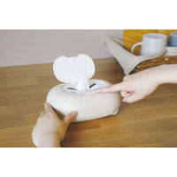 錦化成 スヌーピー ウェットティッシュケース I 4460056 1個