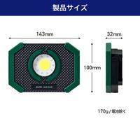 朝日電器 小型ポータブルライト DOP-PL05 1個