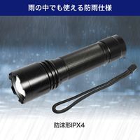 朝日電器 大光量アルミライト1500LM DOP-EP1100 1個