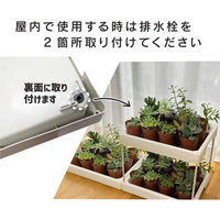 第一ビニール 多肉マンション 観葉/多肉植物用ゲージ 4968438026015 1箱(10個入)（直送品）