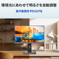 アイ・オー・データ機器 23.8型ワイド液晶ディスプレイ ブラック TypeーC対応 LCD-BC241DB-F 1台（直送品）