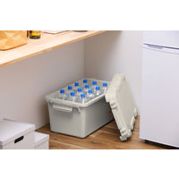 アイリスオーヤマ TRAILBOX 600幅 頑丈ボックス ホワイトアッシュ TRB-600 1個