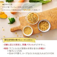 （8カ月頃から）ビオジュニア オーガニック ベビーパスタ アルファベット 1セット（1袋（200g）×3） ベビーフード 有機