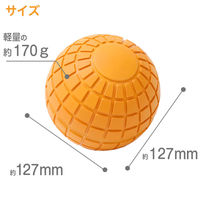 池商 ストレッチボール GR-FIT005 1個（直送品）