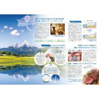 アルペンザルツ 岩塩 500g 3個 SKWイーストアジア 塩