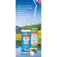 アルペンザルツ 岩塩 250g 3個 SKWイーストアジア 塩