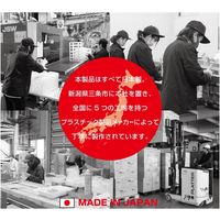 JEJアステージ ストレーショナリー ワイドボックス クリア 1個