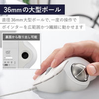 トラックボール マウス 有線 IST 5ボタン 人工ルビーユニット 白 M-IT10URWH エレコム 1個