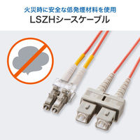 サンワサプライ メガネ型光ファイバケーブル（マルチ50μm、LC×2-SC×2、30m） HKB-LCSC5-30N 1本（直送品）