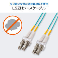 サンワサプライ メガネ型光ファイバケーブル（マルチ50μmOM3、LC×2-LC×2、1m） HKB-OM3LCLC-01N 1本（直送品）