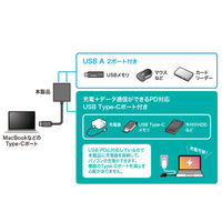 サンワサプライ USB Type-C ハブ(3ポート) USB-3TCP9BK 1個（直送品）