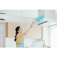 山崎産業 2989.jp+ ムーンダスターFーEX ホコリ払い 静電払い ハタキ 1本