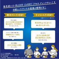 クロスブレンドカレー 辛口 140g 8皿分 1個 ハウス食品 カレールウ スパイス 旨み