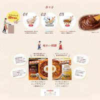 バーモントカレーシェフズアレンジ 果実仕立て（2～3皿分） 1個 濃縮ペーストルウ（フライパンで10分調理）ハウス食品