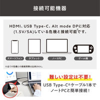 アイリスオーヤマ 15.6インチ モバイルモニター スタンドカバー付き DP-DF163S-B 1台