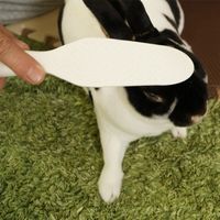 ドギーマンハヤシ ミニアニマン なでうさタッチ 257725 1個（直送品）