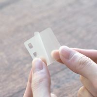 付箋パーツ リングリーフ 透明 リングノート用 RL1006 カンミ堂