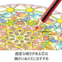 ノリスカラー 色鉛筆 紙ケース入り 36色セット CD36PB ステッドラー