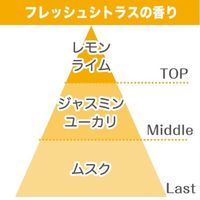 消臭力 自動でシュパッと 電池式 玄関・部屋用 フレッシュシトラスの香り 付け替え 39ml 1個 消臭剤 芳香剤