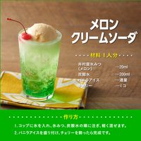かき氷 シロップ 夏祭り 井村屋　氷みつ メロン 330g 1セット(1個×4) 井村屋