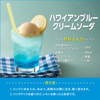 かき氷 シロップ 夏祭り 井村屋　氷みつ ハワイアンブルー 330g 1セット(1個×4) 井村屋