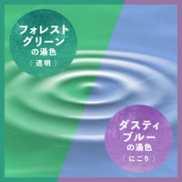 入浴剤 バスロマン メディテーションタイム くつろぎアロマ＆おやすみアロマ 2種アソート 1箱（12包入） アース製薬