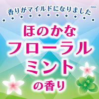 コバエコナーズ キッチン用 スプレー コバエよけ 腐敗抑制 250mL ミント 2本 KINCHO キンチョー