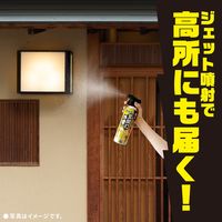 虫こないアース 玄関灯・外壁に 長日数持続タイプ 450mL 害虫駆除 スプレー 1本 アース製薬