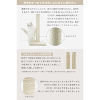 バリバリつめとぎポール 麻 交換用 2本セット 猫壱 爪とぎ