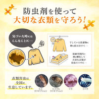 白元アース ミセスロイドクローゼット・洋服ダンス用3個入 1年防虫 金木犀の香り 1箱