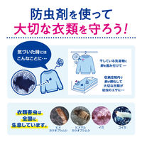 白元アース ＜大容量＞ミセスロイドクローゼット用4個入 1年防虫 1箱