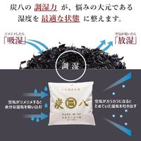 炭八 調湿木炭 1L タンス用 ベージュ 1個 出雲カーボン