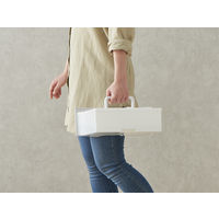 アイリスオーヤマ サーキュレーター衣類乾燥除湿機8L デシカント式 湿気 梅雨 カビ 結露 IJDC-N80-W 1台