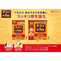 ウコンの力 顆粒（10回分） フルーツ風味 1セット（1個（10本入）×2） スティックタイプ ハウスウェルネスフーズ