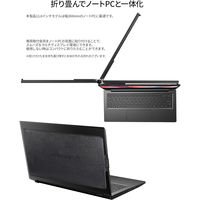 JAPANNEXT 11.6インチ ノートPC装着型モバイルモニター JN-MDO-IPS116 1台