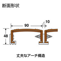 テラモト 抗菌安全スノコ(組立品)木調 300×900 MR9100509 1枚