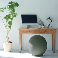 キングジム 台座付きバランスボール AHC030-BE 1個