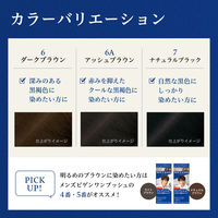 メンズビゲン TAKUMI -匠- 6A アッシュブラウン 白髪染め ホーユー