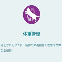 ピュリナワン 猫 総合栄養食 室内飼い猫用 1歳以上 50g 6袋 キャットフード パウチ ネスレ日本