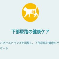 ピュリナワン 猫 総合栄養食 避妊去勢した猫の体重ケア 50g 12袋 キャットフード パウチ ネスレ日本