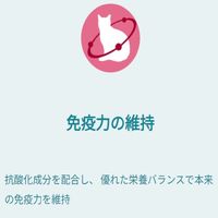 ピュリナワン 猫 総合栄養食 1歳までの子ねこ用/妊娠・授乳期の母猫用 50g 6袋 キャットフード パウチ ネスレ日本