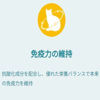 ピュリナワン 猫 総合栄養食 美味を求める成猫用 1歳以上 50g 6袋 キャットフード パウチ ネスレ日本