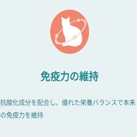 ピュリナワン 猫 総合栄養食 美味を求める成猫用 1歳以上 フィッシュ 50g 6袋 キャットフード パウチ ネスレ日本