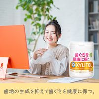 【特定保健用食品（トクホ・特保）】キシリトール オーラテクトガム＜シトラスミント＞スリムボトル 1セット（1個×6） ロッテ ガム